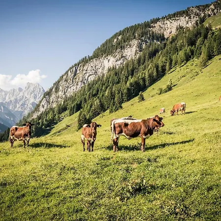 Exklusive Drachleck Mit 3 Schlafzimmern & Panoramabergblick In Bester Lage