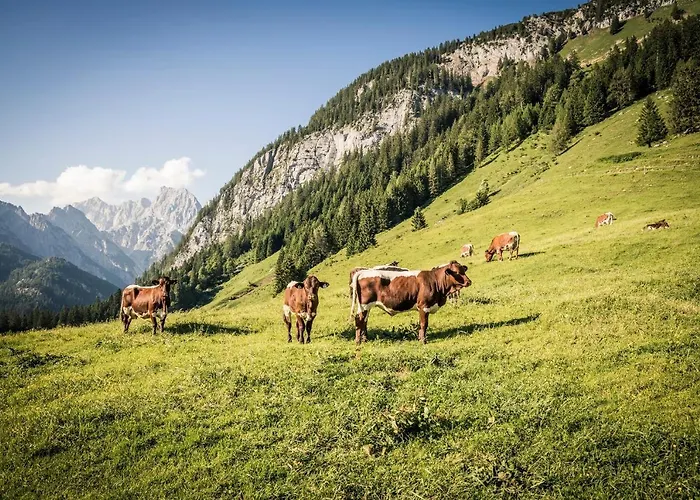 Exklusive Drachleck Mit 3 Schlafzimmern & Panoramabergblick In Bester Lage
